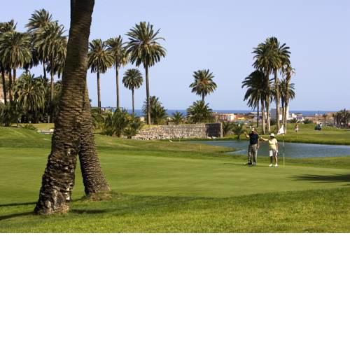 Cortijo San Ignacio Golf