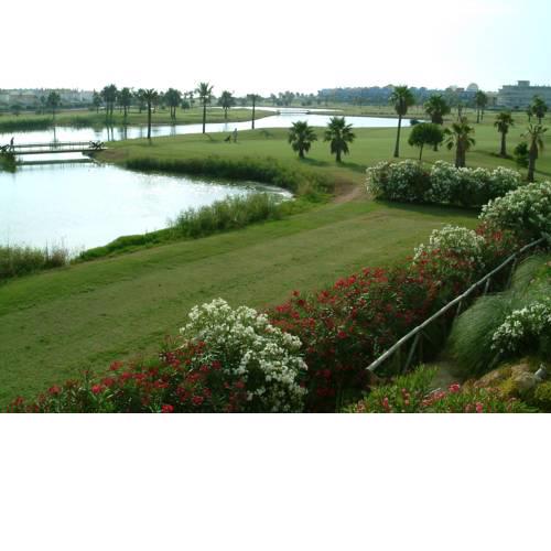 Costa Ballena
