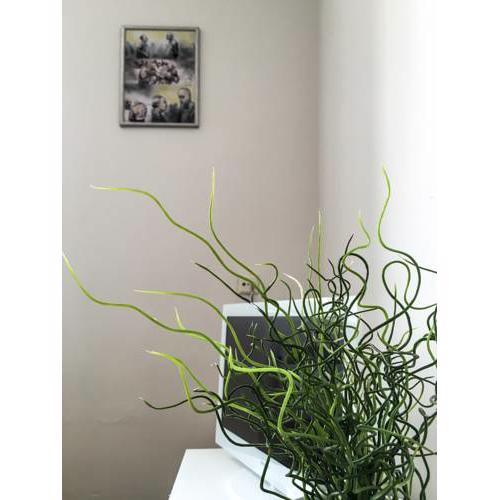 Cosy Flat Pisek Downtown