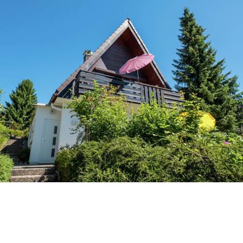 Cosy Holiday Home in Niedergebisbach near Ski Area