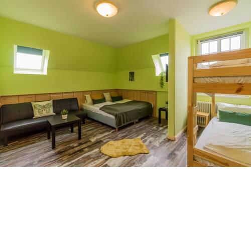 Cosy springy apartment with free parking