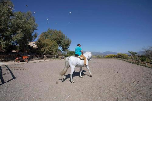 Cottage ideally for children with WiFi, pool and optional horse riding