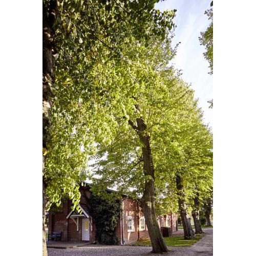 Cottage Margerite - Ferienhof Friedrichsthal
