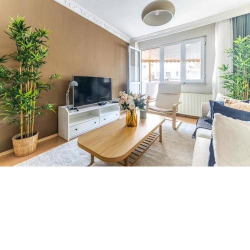Cozy and Classy Flat Near Taksim Square in Beyoglu