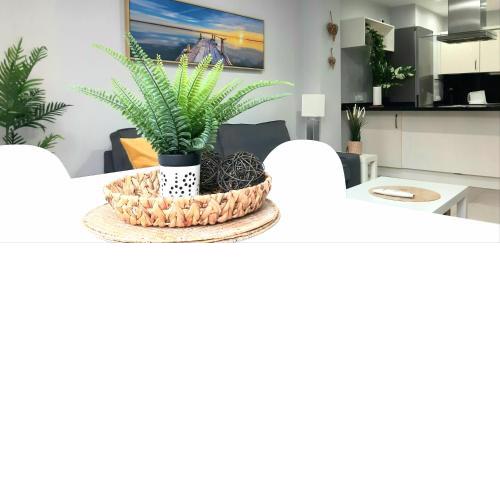 Cozy apartament in the heart of Santa Cruz
