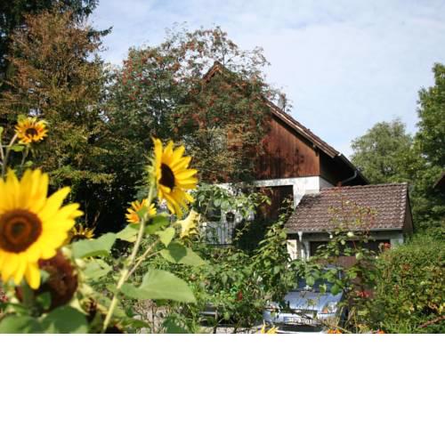 Cozy Apartment in Moos near Lake Constance