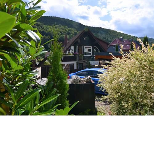 Cozy Apartment in Sieber with River Nearby