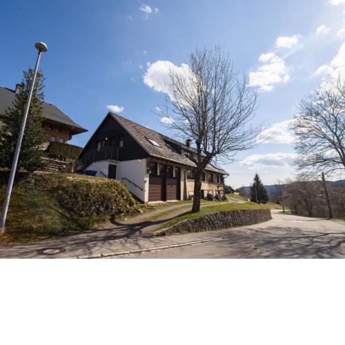 Cozy Apartment in Todtnauberg with Terrace