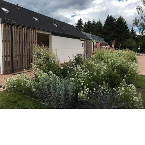 Cozy Apartment in Zeulenroda-Triebes with Terrace