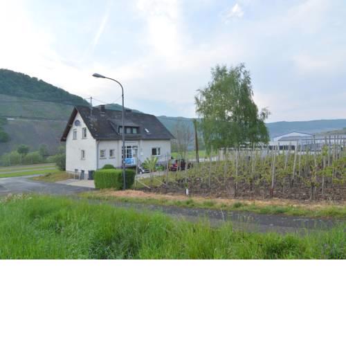 Cozy Apartment near Lake in Neumagen-Dhron