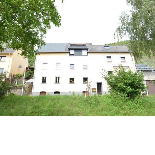 Cozy Apartment with River View in Zell Mosel