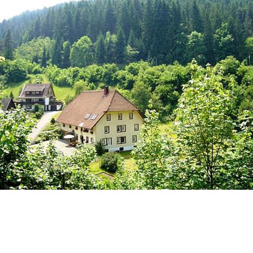 Cozy Apartment with Trampoline in Triberg