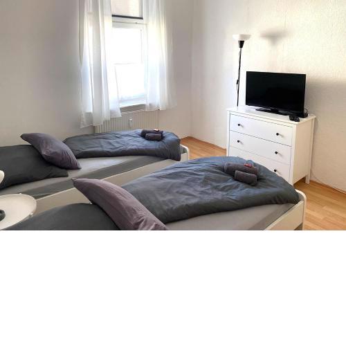 Cozy Apartments in Zwickau