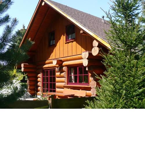 Cozy Cabin in Waltershausen near Forest