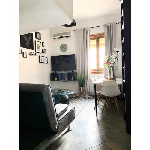 Cozy Flat in Malasaña