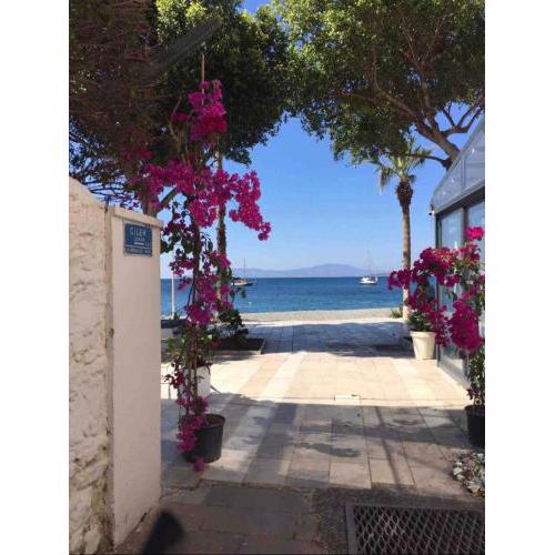 Cozy Flat in The Heart of Bodrum