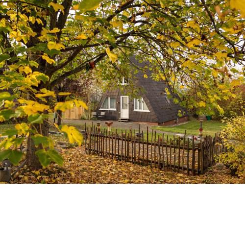 Cozy Holiday Home in Bestwig with Private Garden