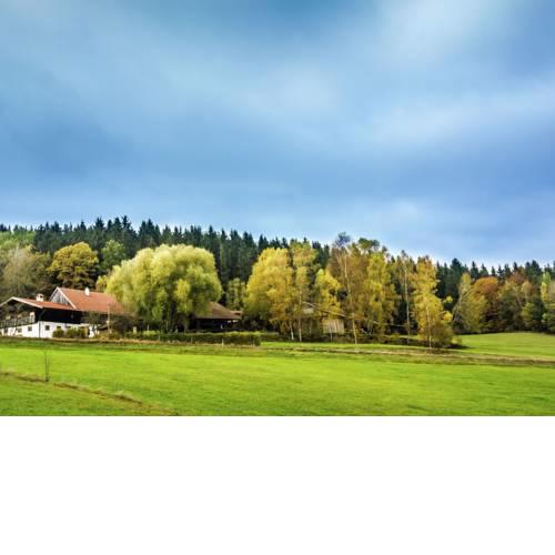 Cozy Holiday Home in Konzell with Terrace