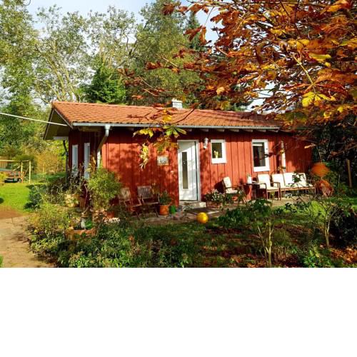 Cozy Holiday Home in Laisa with Private Terrace