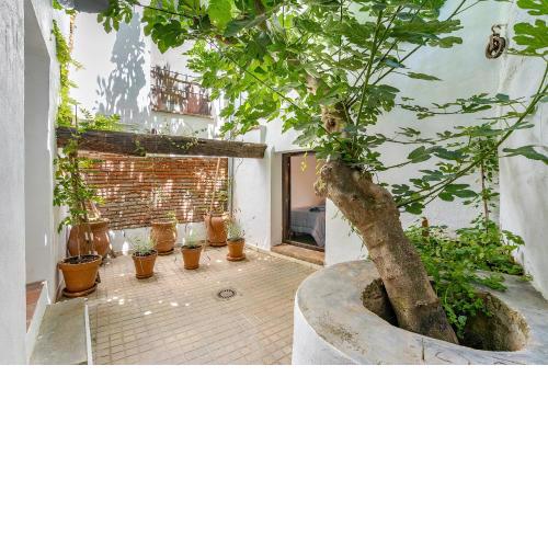 Cozy house for 4 with Patio in Guadix