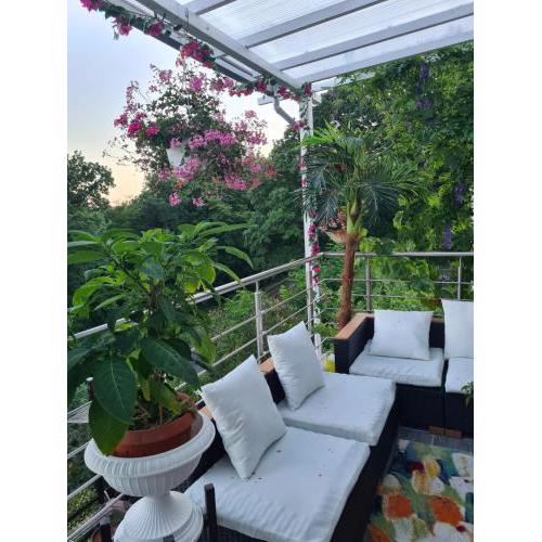 Cozy room with a beautiful garden view