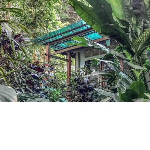 Cozy Wayan Sueta's Garden Villa 2