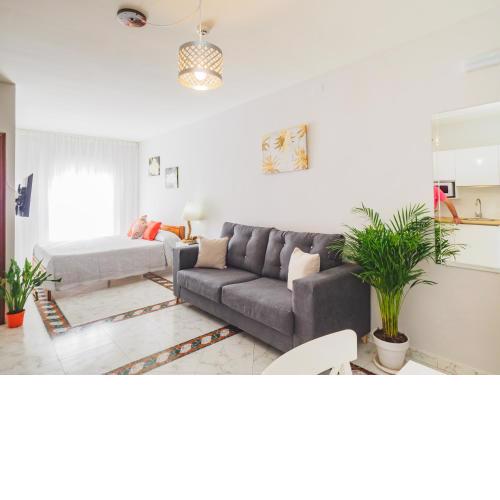 Cubo's Las Palmeras Urban Room 202