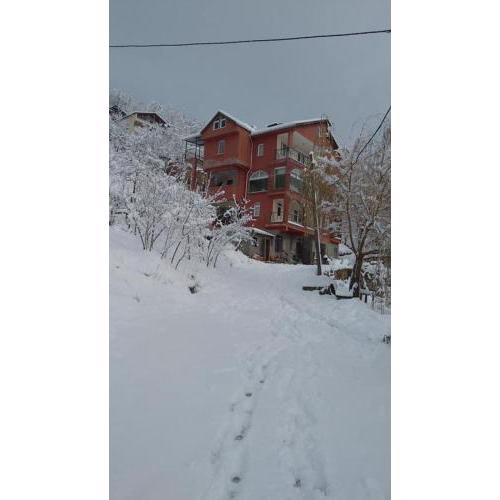 Dağ evi çaykara