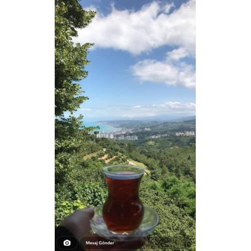 Dağ ve deniz manzaralı doğayla iç içe kiralık daire