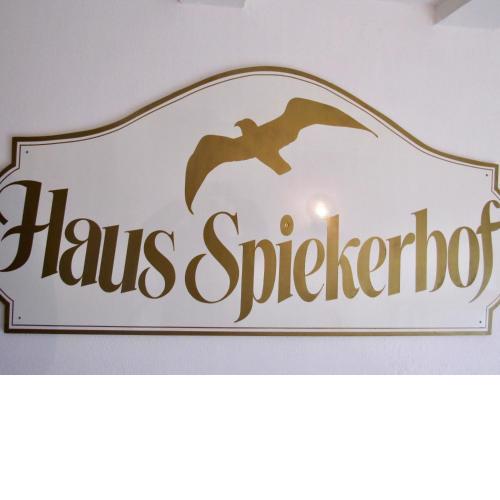 Dak Skea fan Leafde Spiekerhof Whg01