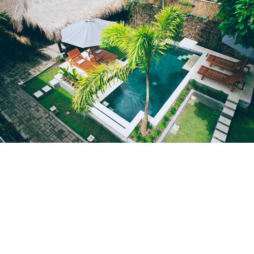 Dalai Tropical