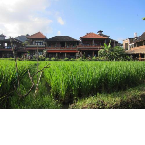 Danasari Homestay
