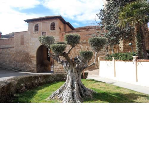 Daroca Alojamientos