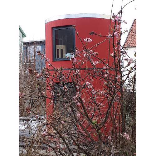 Das Alte Kino in Barth - Das Gartenhaus