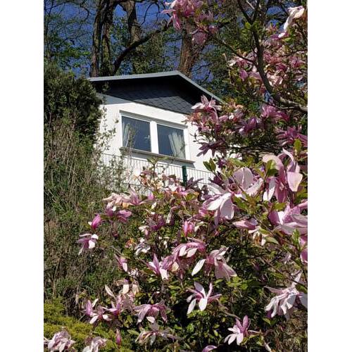 Das Ferienhaus mit Aussicht
