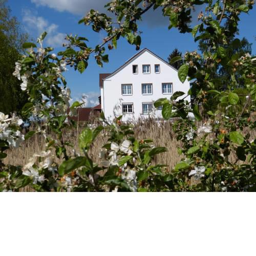 Das Haus am Teich