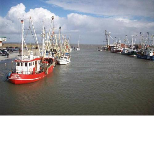 Das Nordsee Ferienhaus Dornumersiel