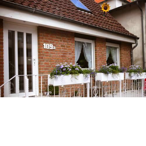 Das Sonnenblumenhaus