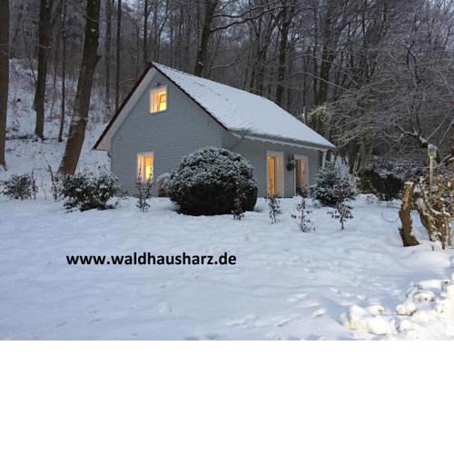 "das Waldhaus"