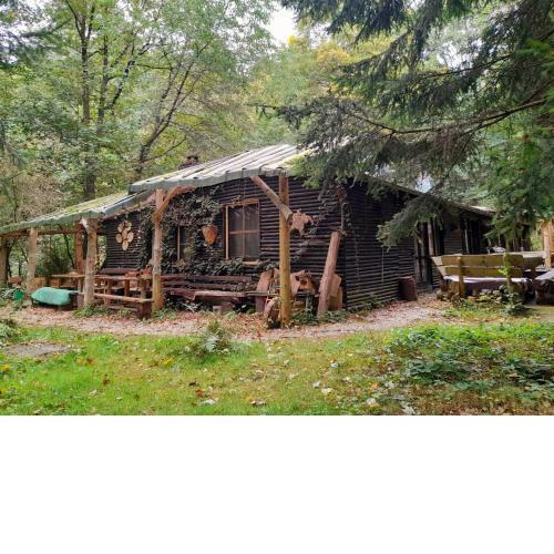 Das wilde Auwaldhaus