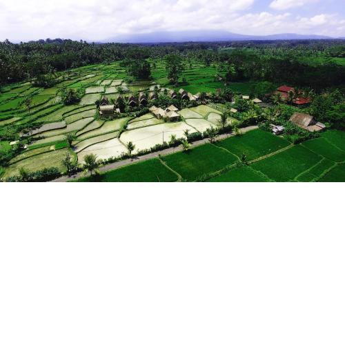 De Klumpu Bali Eco Tradi Stay