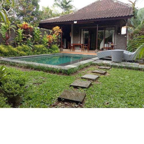 Dedik House