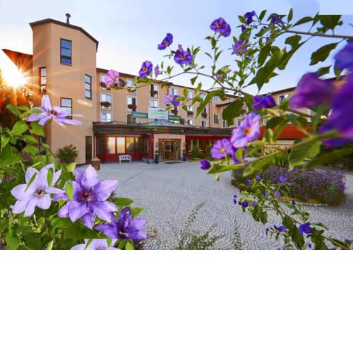 Dehner Blumen Hotel