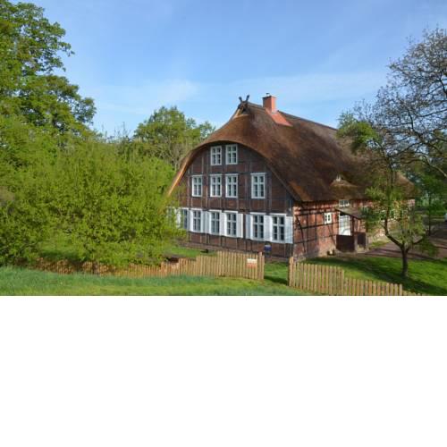 Deichkind - Reetdachhaus direkt am Elbdeich
