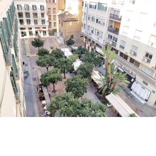 Del Parque Flats Flores Premium