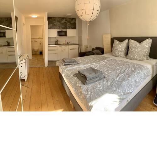 Deluxe Apartment in Freiburg Citycenter