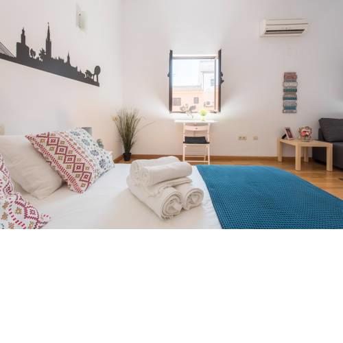 Deluxe apartment Parras