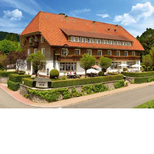 Der Hirschen