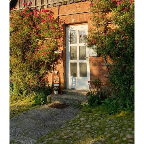 Der kleine Fuchshof mit Hund, Pferd und Huhn
