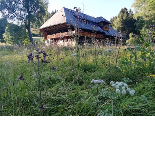 Der Schmidthof